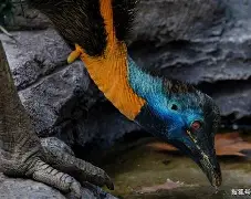 l武,$迎4鸵<*B惎Mw謐顑p肞芅S+6韠q皋镙く?(武迎吉简介)